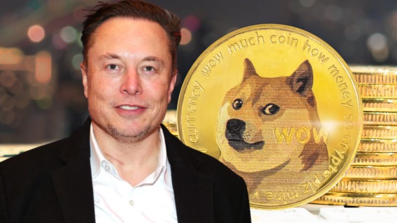 Elon Musk Dogecoin news